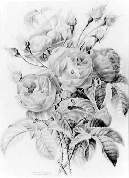 A bunch of roses - view 1