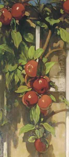 Apples on a trellis - view 1