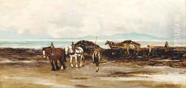 Gathering seaweed - view 1