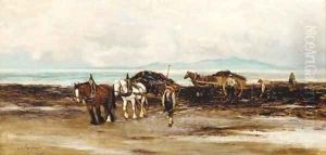 Gathering seaweed by Tomson Laing