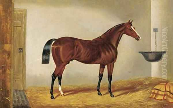A brown hunter in a stable - view 1
