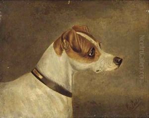 Head of a terrier 2