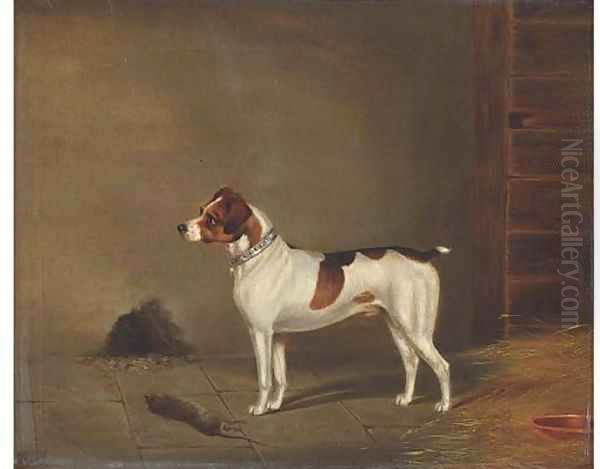 Success, a terrier - view 1
