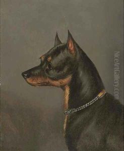 Head of a terrier