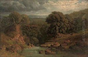 A wooded river landscape with a deer beyond
