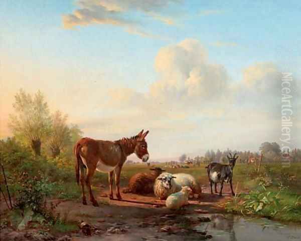 Cattle resting by a pool - view 1