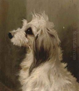 A long-haired white terrier