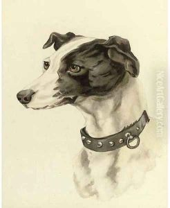 Portrait of a whippet