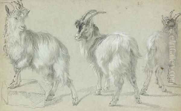 Three goats - view 1