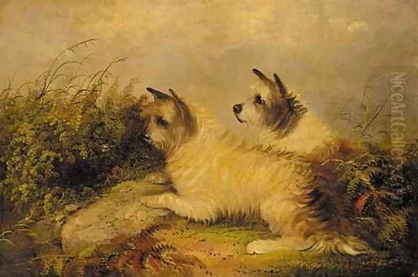 Terriers on the scent - view 1