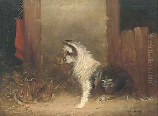 A terrier and his catch - view 1