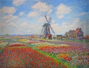 Field Of Tulips In Holland