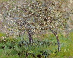 Apple Trees In Bloom At Giverny