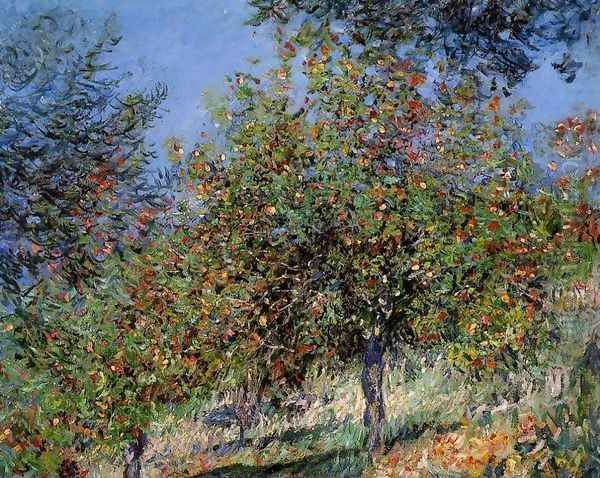 Apple Trees On The Chantemesle Hill - view 1