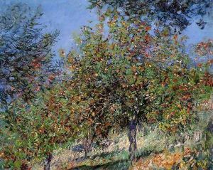 Apple Trees On The Chantemesle Hill