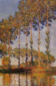 A Row Of Poplars