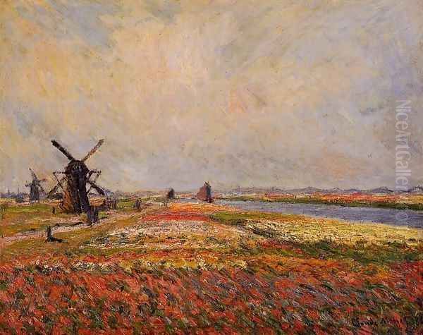 Fields Of Flowers And Windmills Near Leiden - view 1