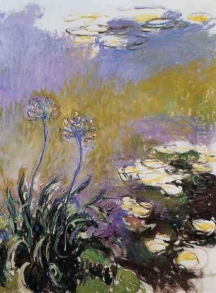 Agapanthus2 - view 1