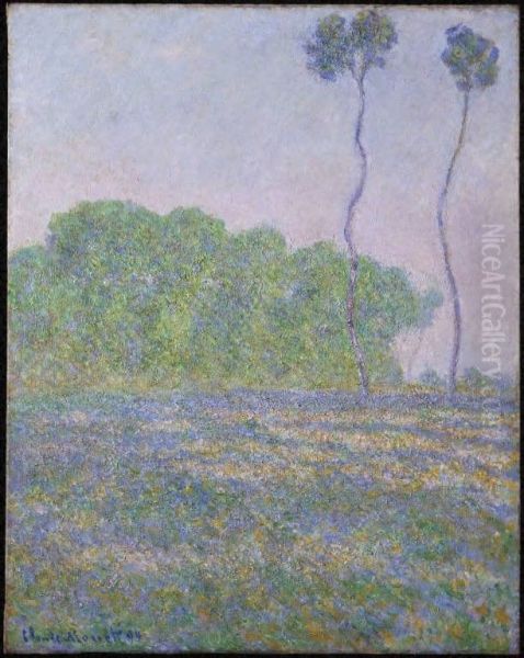 A Meadow At Giverny - view 1