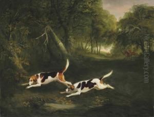 The Ormond Hounds Of The Hon. George O'callaghan by John Snr Ferneley