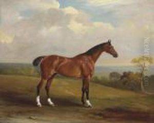 Clinker, The Bay Hunter Of H.h. Holdich-hungerford Of Dingley Park,northamptonshire by John Snr Ferneley
