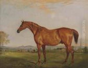 Shamrock, The Chestnut Hunter Of
The Rev. Charles Thornton, Belvoircastle In The Distance by John Snr Ferneley
