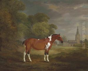 Pat, A Skewbald Cob Belonging To
 Colonel John Frewen Turner, Of Cold Overton Hall, Leicestershire by John Snr Ferneley