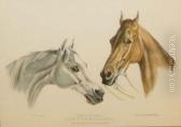 "portraits Of The Heads Ofatticus And Buzzard 
The Property Of Lord Kinnaird" - view 1