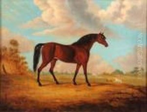 Horse In Landscape by John Snr Ferneley