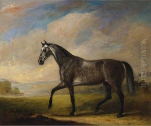 A Dappled Grey Horse In An Extensive Landscape