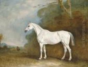 A Grey Hunter In A Wooded Landscape A Grey Hunter In A Wooded Landscape