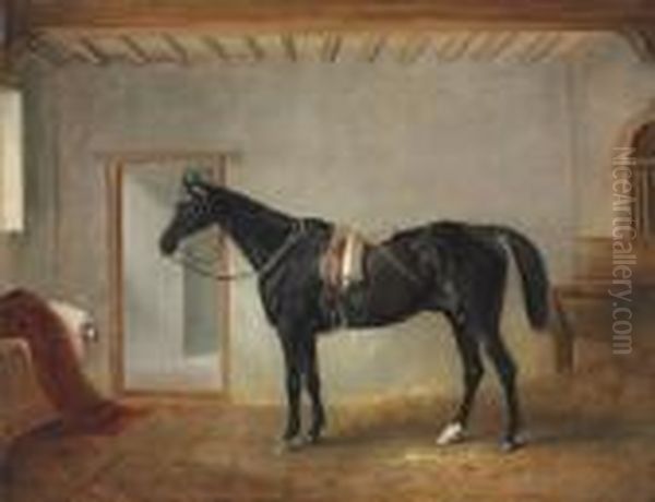 Soldier Boy In A Stable - view 1