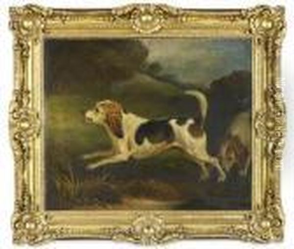 Study Of A Terrier In Landscape - view 1