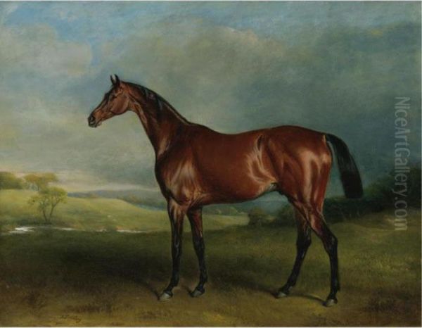 Mr. Richard Watt's Rockingham, Winner Of The 1833 St. Leger - view 1