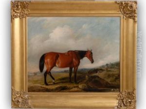 A Bay Hunteron A Heath