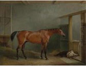 The Shaver, A Favorite Hunter Of Mr. Sterling Crawford by John Snr Ferneley
