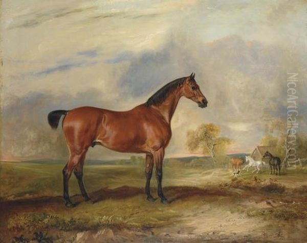 A Bay Hunter In An Extensive Landscape, With Other Horses Beyond - view 1