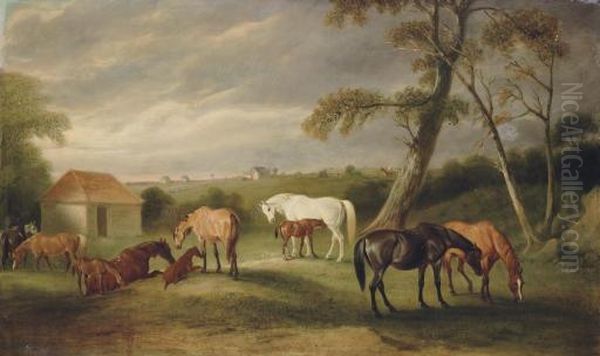 Mares And Foals In An Extensive Landscape - view 1