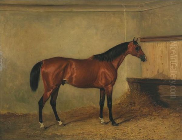 Melton Mowbray, A Bay Hunter In A
 Stable, The Property Of Henry George Herbert, 7th Earl Of Carnarvon - view 1
