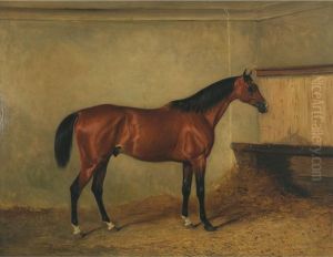 Melton Mowbray, A Bay Hunter In A
 Stable, The Property Of Henry George Herbert, 7th Earl Of Carnarvon