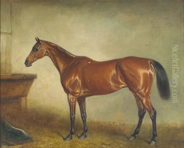 Snr "portrait Of The Hunter
"brenda" In A Loose Box" Inscribed With The Horse's Name, Also Inscribed
On A Label Verso With The Artist's Name And The Title Of The Work,
Together With "139131" - view 1