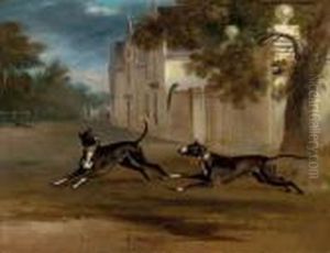 Earl Brownlow's Two Bull 
Terriers Nelson And Argo, Running In The Grounds Of A Country House