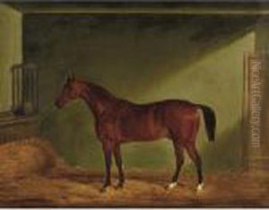 A Bay Horse, Said To Be Red Devil by John Snr Ferneley