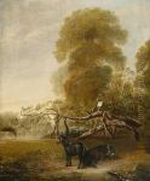 The Original Ribston Apple Tree With Favourite Pony And Donkey - view 1