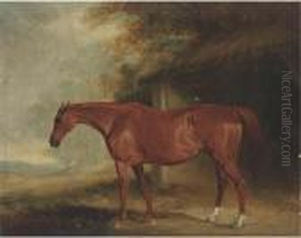 A Chestnut Mare Outside A Stable - view 1