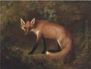 A Fox In Shrubbery by John Snr Ferneley