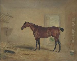 A Bay Hunter In A Stable