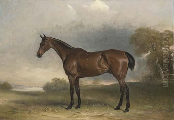 A Bay Hunter In An Extensive Landscape, With A Lake Beyond - view 1