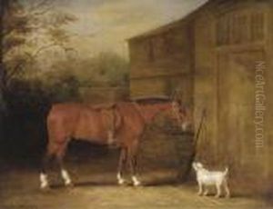 A Bay Hunter And A Dog Outside A Stable A Bay Hunter And A Dog Outside A Stable