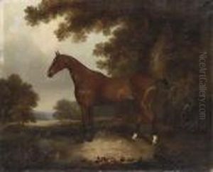 A Bay Hunter In A Wooded Landscape